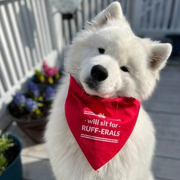 Dog Bandana - Will sit for RUFF-ERALS - All Things Real Estate