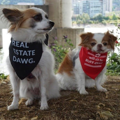 Dog Bandana - Will sit for RUFF-ERALS - All Things Real Estate
