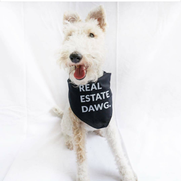 Dog Bandana - Real Estate Dawg. (Black) from All Things Real Estate Store