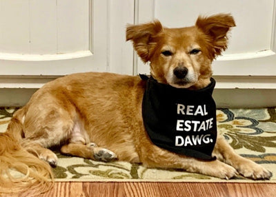 Dog Bandana - Real Estate Dawg. (Black) from All Things Real Estate Store