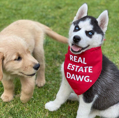 Dog Bandana - Real Estate Dawg. (Red) from All Things Real Estate Store