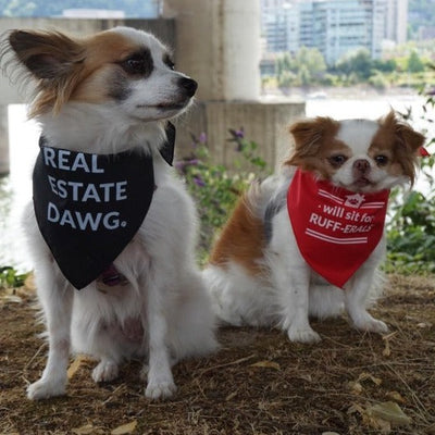 Dog Bandana - Will sit for RUFF-ERALS from All Things Real Estate Store