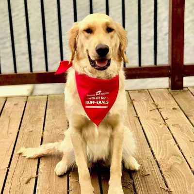 Dog Bandana - Will sit for RUFF-ERALS from All Things Real Estate Store